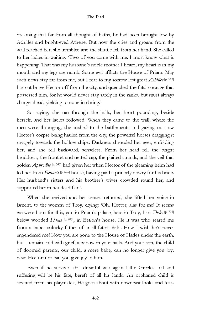 The Iliad - Page 456